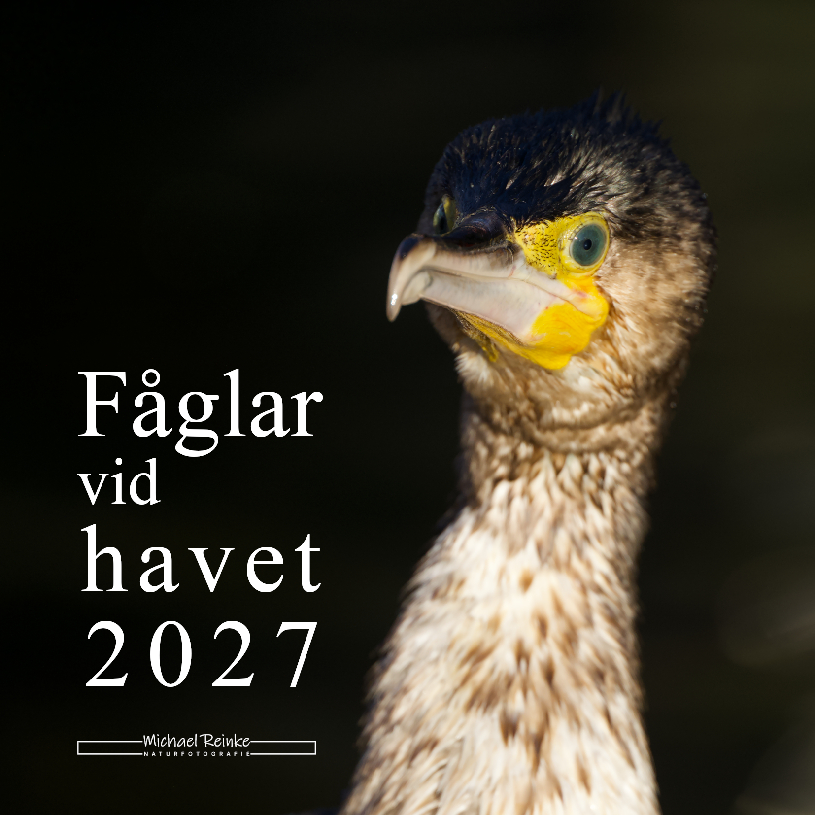 Tischkalender 2027, Deckblatt (schwedisch)