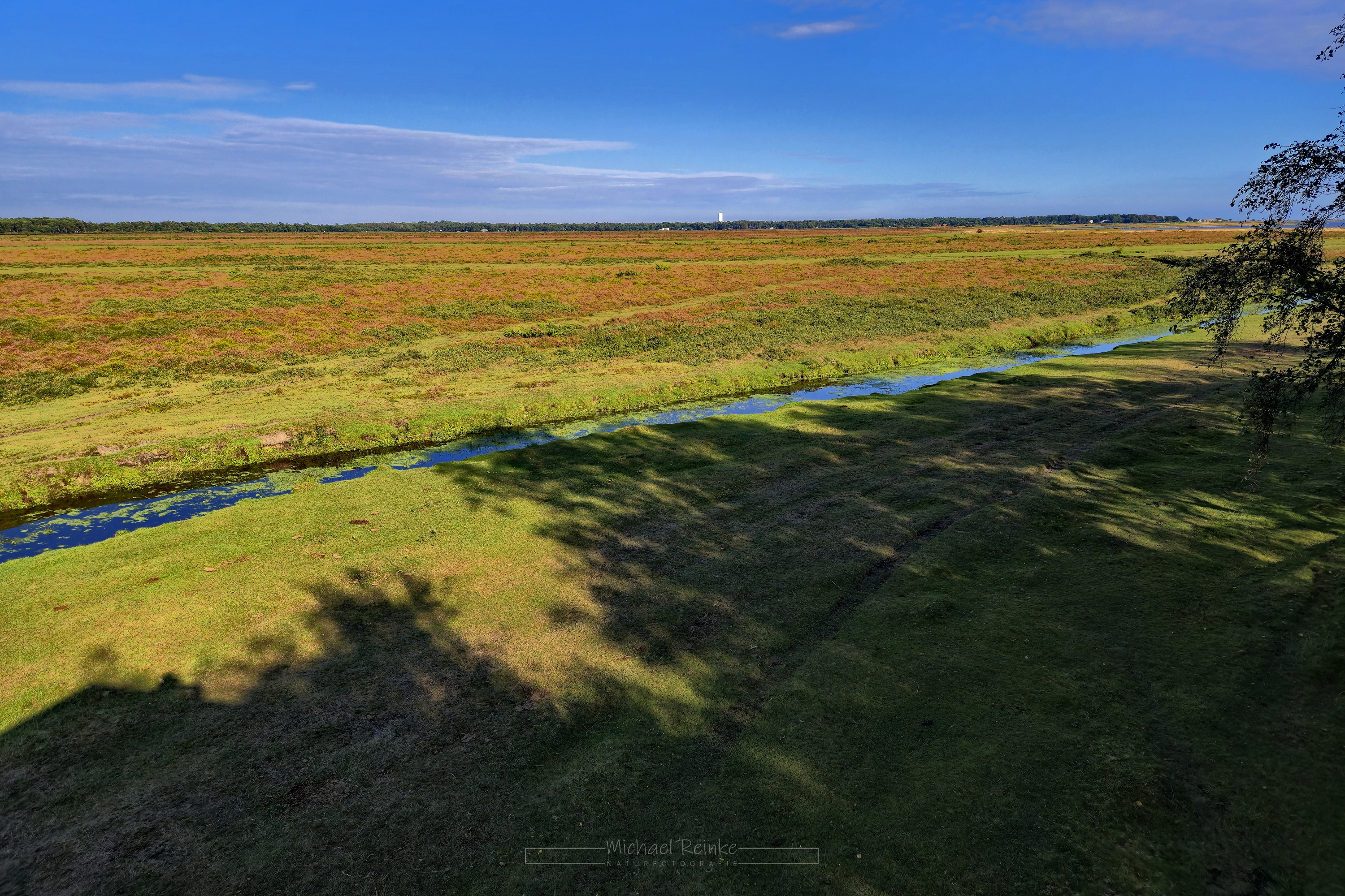 Skanörs Ljung - Blick vom Beobachtungsturm